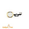 iPhone 6 Home Button Flex Cable Gold