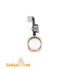 iPhone 6s Home Button Flex Cable Gold